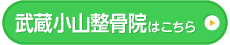 武蔵小山整骨院はこちら